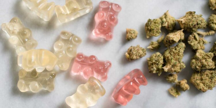 Exploring the Benefits of Cannabis Edibles: A Guide for Beginners