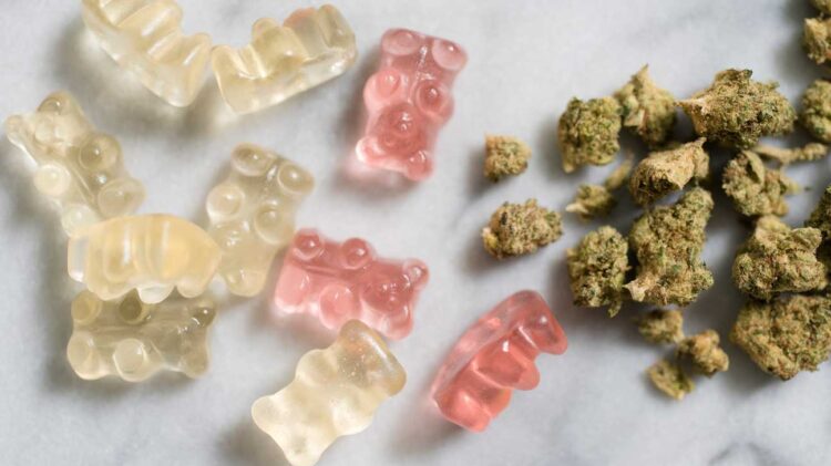 Exploring the Benefits of Cannabis Edibles: A Guide for Beginners