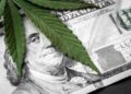 California Agency Grants Over 50 Million in Cannabis Tax Funds