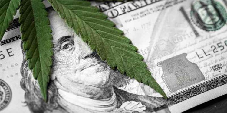 California Agency Grants Over 50 Million in Cannabis Tax Funds