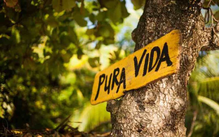 Costa Rica Issues First Medical Cannabis Cultivation License