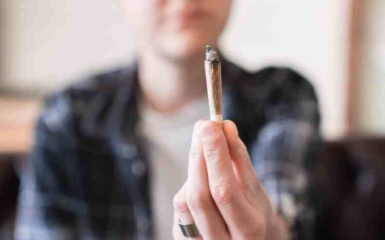 Legalization of Weed Has Led to Reduced Tobacco Consumption