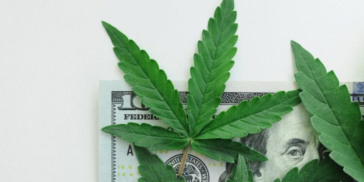 Marijuana Policy Project Report Examines 8 Years of Cannabis Tax