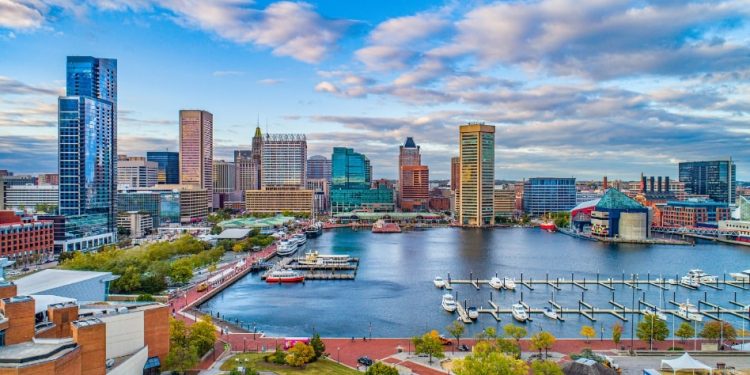 Baltimore Cannabis Business License Suspended Due to Cookies Dispute