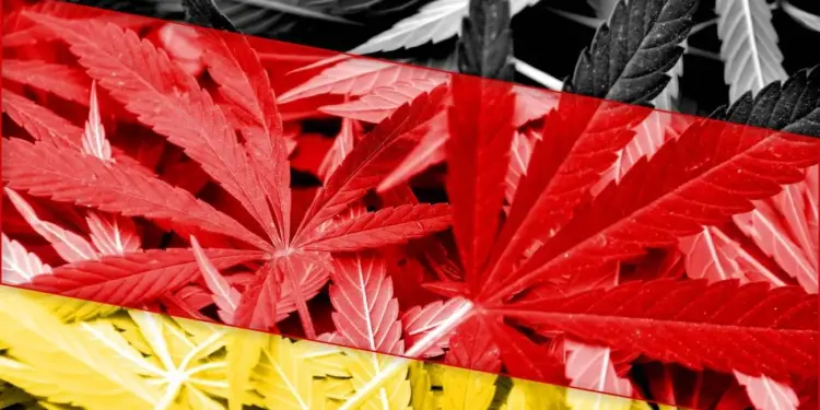 37665119 germany flag on cannabis background drug policy legalization of marijuana transformed