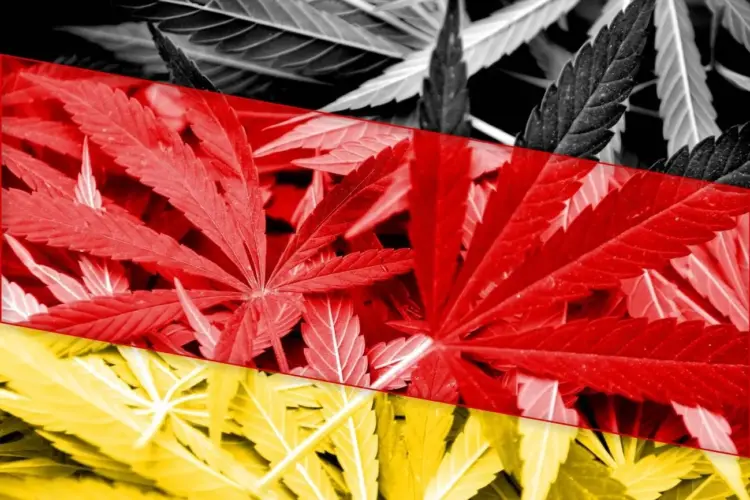 37665119 germany flag on cannabis background drug policy legalization of marijuana transformed