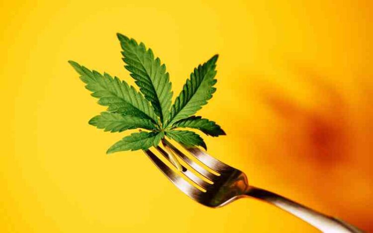 House Panel Urges FDA to Regulate CBD in Foods and