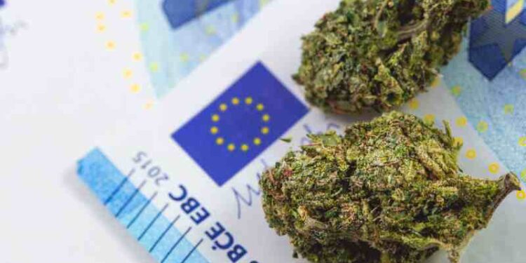 Recent Report Reveals Cannabis is Most Used Substance in Europe