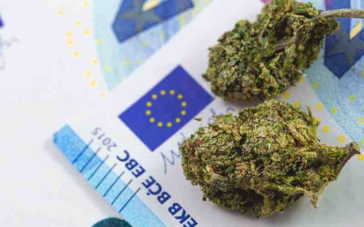 Recent Report Reveals Cannabis is Most Used Substance in Europe