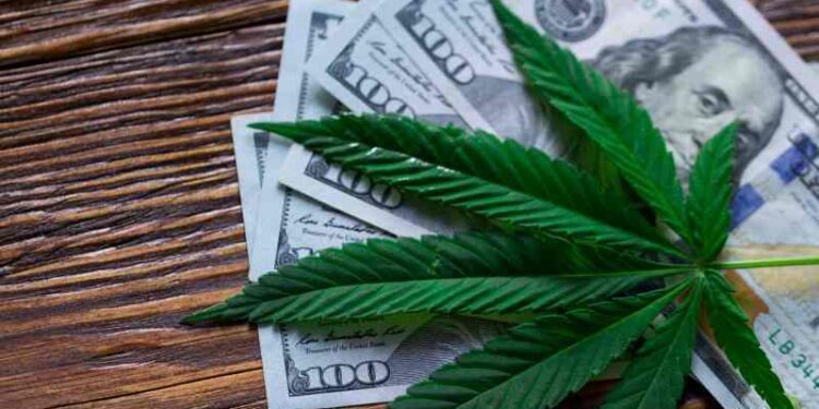 Oregon Governor Denies Cannabis Banking Legislation