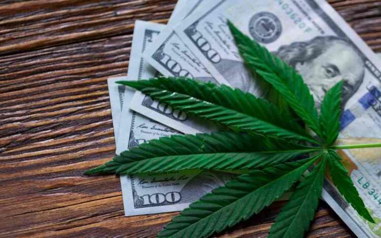 Oregon Governor Denies Cannabis Banking Legislation