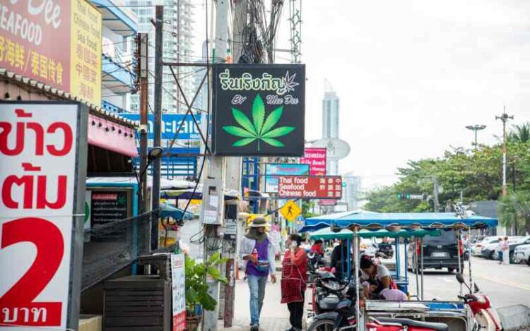 Thailand Leaders Rush to Reverse Law as 6000 Cannabis Shops