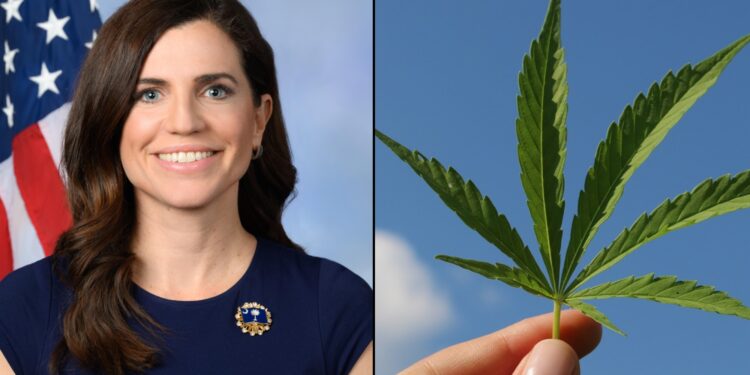 nancy mace marijuana