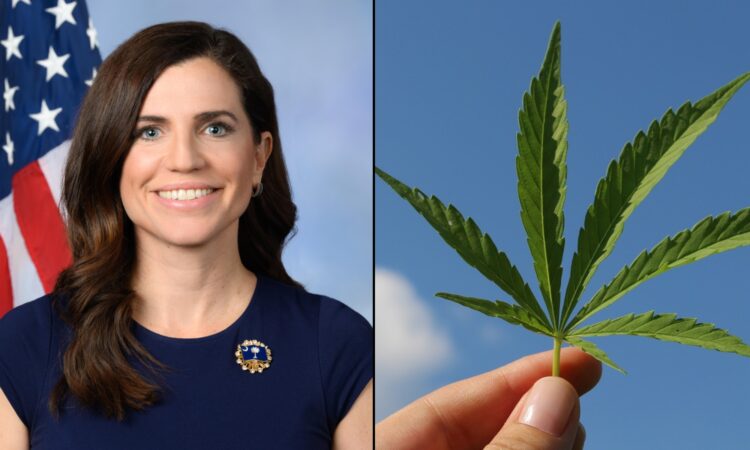 nancy mace marijuana