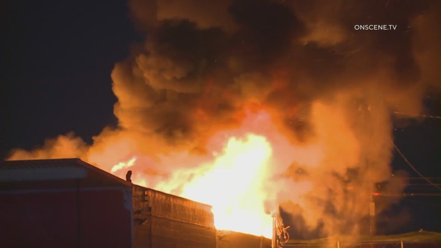 Tragic fire at reported unauthorized cannabis operation in South Los Angeles