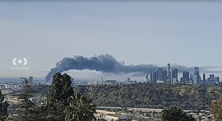 Firefighters battle large fire at cannabis operation in downtown Los Angeles 