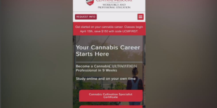 The University of Central Missouri is offering a cannabis certificate.