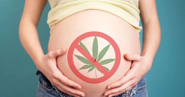 Cannabis Pregnancy Depiction