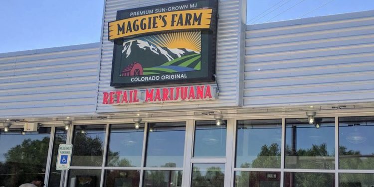 Colorado's Maggie's Farm Cash Seized in Civil Action