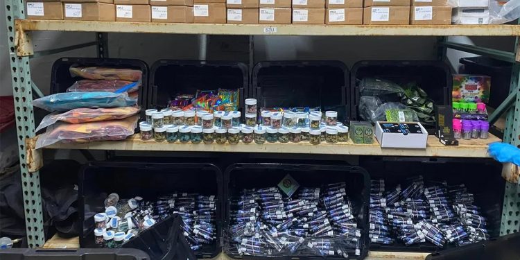 Millions in Illegal Marijuana Seized in Brooklyn Warehouse