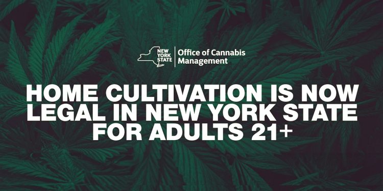 New York Legalizes Home Cannabis Cultivation