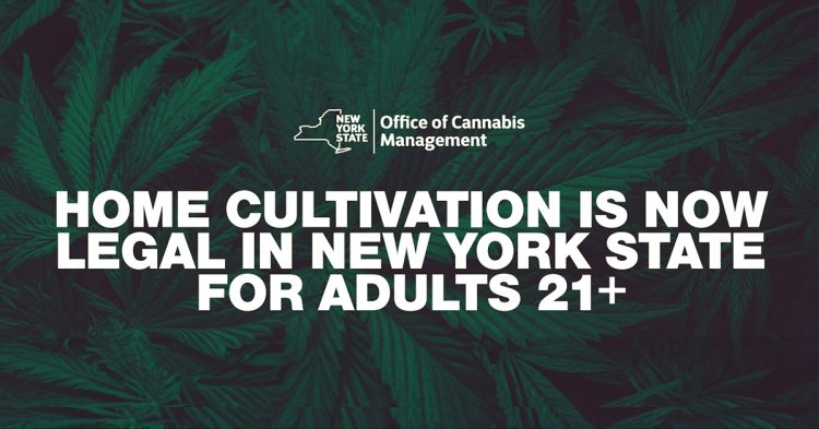 New York Legalizes Home Cannabis Cultivation