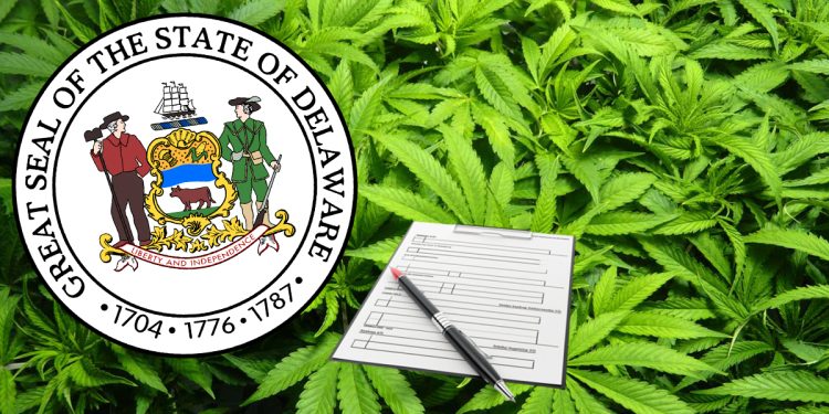 Delaware Recreational Marijuana Application Process on August 19