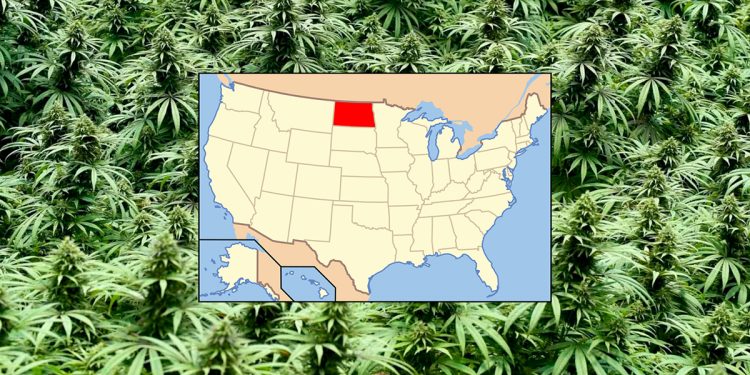 North Dakota Voters to Decide on Marijuana Legalization Again