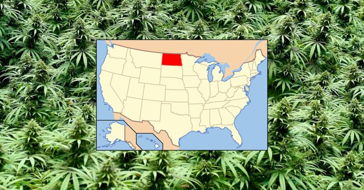 North Dakota Voters to Decide on Marijuana Legalization Again