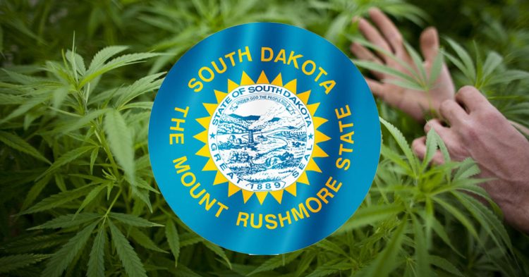 South Dakota Approves 70% Hike in Medical Marijuana Business Fees