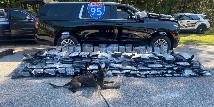 Deputies Seize 250lbs of Marijuana on I-95; Two NY Men Arrested