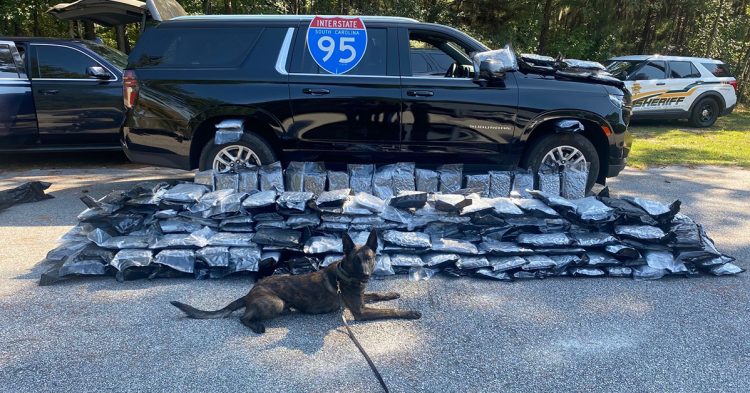 Deputies Seize 250lbs of Marijuana on I-95; Two NY Men Arrested