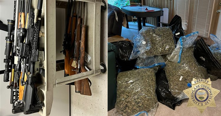 Illegal Marijuana Operation in Lane County: Stolen Equipment, Guns Seized